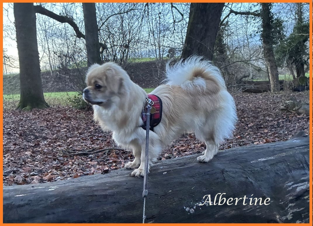 Joyeuses fêtes de fin d'année!